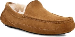 UGG Men's Ascot 13 UGG Men's Ascot -Winter Shoes Shop ugg mens ascot chestnut 1101110 che 97799.1696284874