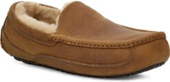 UGG Men's Ascot Leather 13 UGG Men's Ascot Leather -Winter Shoes Shop ugg mens ascot tan 1103889 tan 51299.1696284377