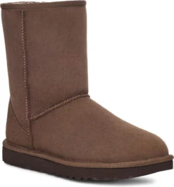 UGG Women's Classic Short II -Winter Shoes Shop ugg womens classic short ii burnt cedar 1016223 bcdr 21110.1700836441